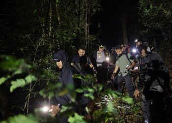 Kapolres Gowa dan Wakil Bupati Tinjau Lokasi Penebangan Pohon Pinus