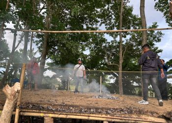 Unit Resmob Polres Luwu Tindak Tegas Aktivitas Judi Sabung Ayam di Dua Lokasi