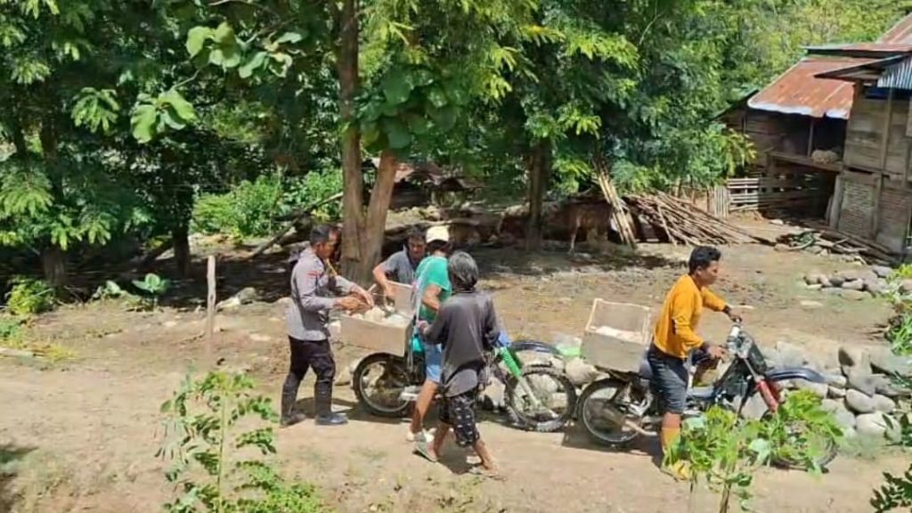 Bhabinkamtibmas Polres Tator Gotong Royong Bangun Pondasi Jalan Bersama Warga Lem Rano