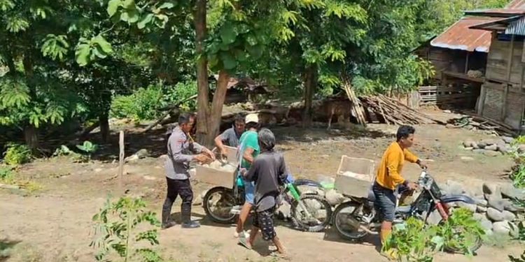 Bhabinkamtibmas Polres Tator Gotong Royong Bangun Pondasi Jalan Bersama Warga Lem Rano