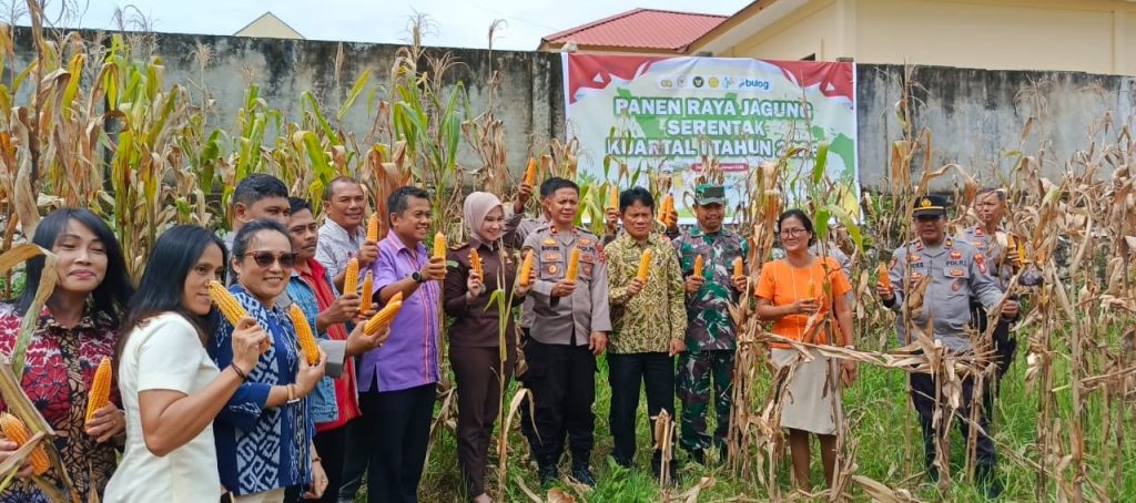 Dukung Swasembada Pangan, Polres Toraja Utara Gelar Panen Raya Jagung Serentak Kuartal I Tahun 2026