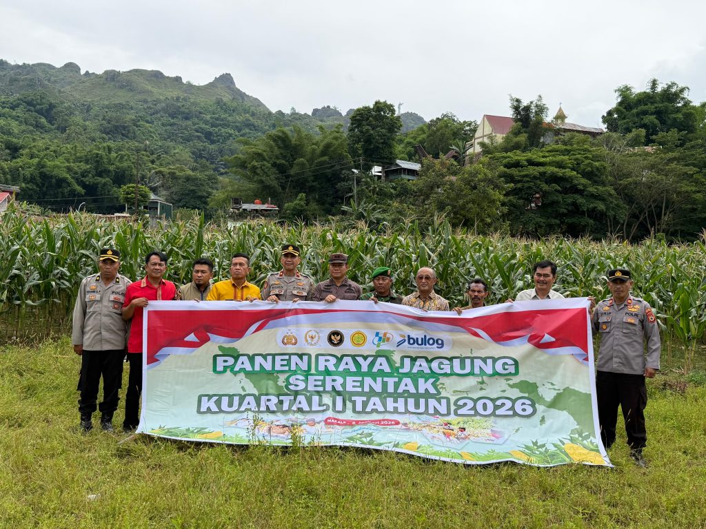 Polres Tana Toraja Panen Raya Jagung, Wujudkan Swasembada Pangan