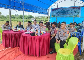 Dukung Swasembada Pangan, Kapolres Jeneponto Ikuti Panen Raya Jagung Serentak Secara Virtual