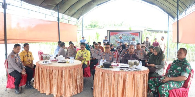 Polres Soppeng Panen Jagung Serentak Kuartal I 2026 Dalam Rangka Swasembada Pangan