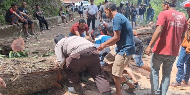 Respons Cepat, Personel Polsek Saluputti Evakuasi Pohon Tumbang, Akses Ulusalu–Bittuang Kembali Normal