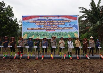 Dukung Swasembada Jagung Nasional, Kapolres Maros Dampingi Kapolda Sulsel Tanam Jagung di Tompobulu