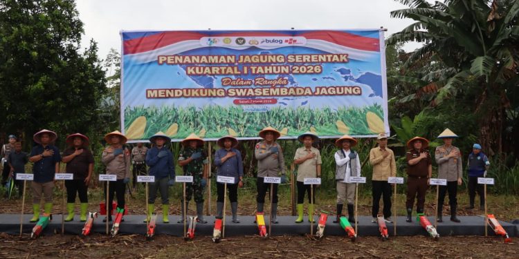 Dukung Swasembada Jagung Nasional, Kapolres Maros Dampingi Kapolda Sulsel Tanam Jagung di Tompobulu