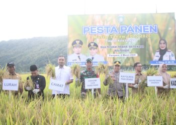 Dukung Ketahanan Pangan, Waka Polres Parepare Hadiri Pesta Panen di Wattang Bacukiki
