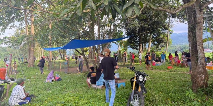 Satreskrim Polres Palopo Gerebek Lokasi Judi Sabung Ayam