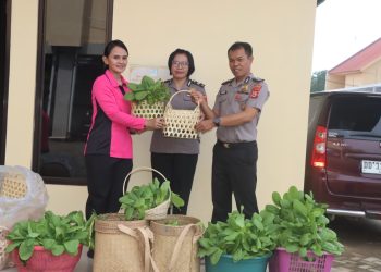 Dukung Kemandirian Pangan,  Bhayangkari Cabang Torut Panen Sayur dan Ikan Lele di P2L