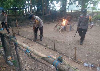 Respon Laporan Warga, Polsek Lamasi Bongkar Arena Sabung Ayam