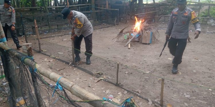 Respon Laporan Warga, Polsek Lamasi Bongkar Arena Sabung Ayam