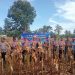 Dukung Ketahanan Pangan Nasional, Polres Luwu dan Masyarakat Panen Jagung Serentak