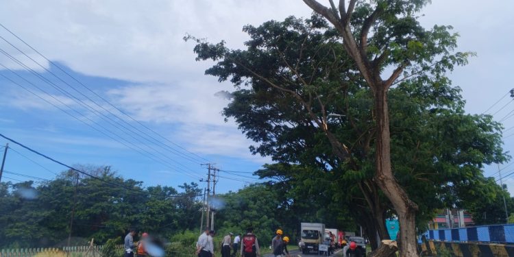 Polisi dan BPBD Bulukumba Bersihkan Pohon Tumbang, Arus Lalu Lintas Kembali Lancar