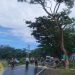 Polisi dan BPBD Bulukumba Bersihkan Pohon Tumbang, Arus Lalu Lintas Kembali Lancar