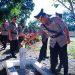 Kenang Jasa Pahlawan, Kapolres Luwu Ziarah dan Tabur Bunga di TMP