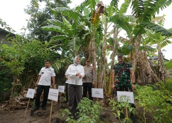 Kapolres Parepare Tanam Bibit Cabai Bersama Wagub Sulsel di Lumpue