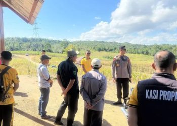 Kapolres Enrekang Tinjau Lahan Tanaman Jagung di Bumi Perkemahan Desa Karrang