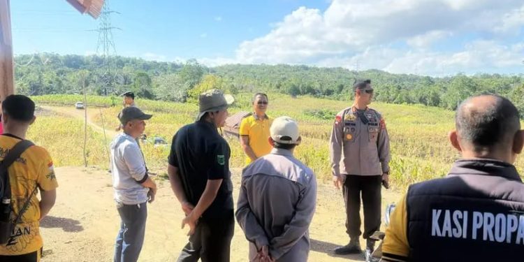 Kapolres Enrekang Tinjau Lahan Tanaman Jagung di Bumi Perkemahan Desa Karrang
