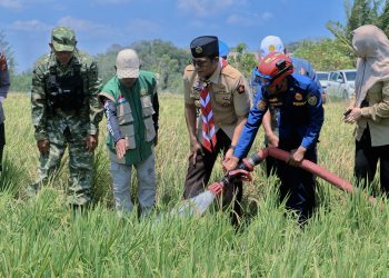 Kapolres Barru Inisiasi Kolaborasi Salurkan Bantuan Air untuk Sawah Terdampak Kekeringan