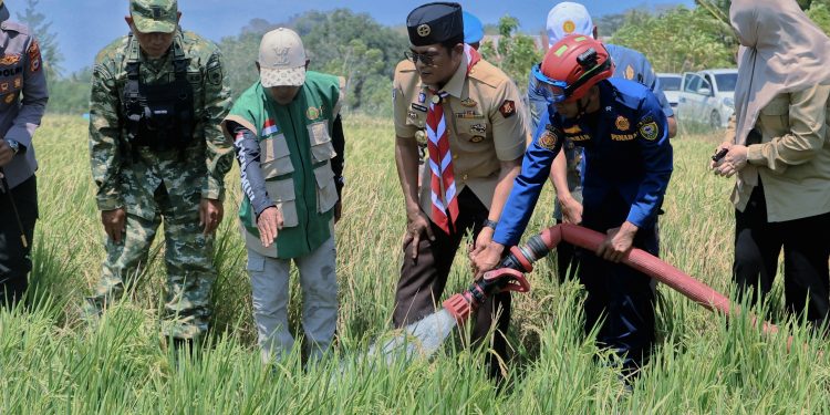 Kapolres Barru Inisiasi Kolaborasi Salurkan Bantuan Air untuk Sawah Terdampak Kekeringan