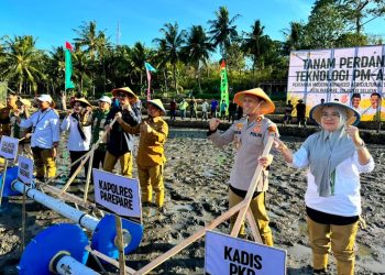 Kapolres Parepare Tanam Padi Perdana Pertanian Modern Advanced Agriculture System