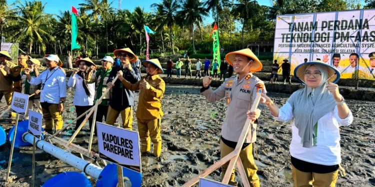 Kapolres Parepare Tanam Padi Perdana Pertanian Modern Advanced Agriculture System