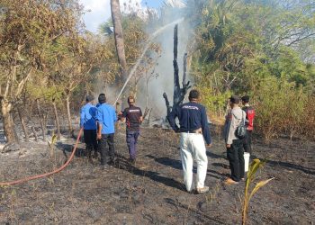Kapolres Kepulauan Selayar Kerahkan Personel Padamkan Kebakaran Lahan di 3 Lokasi