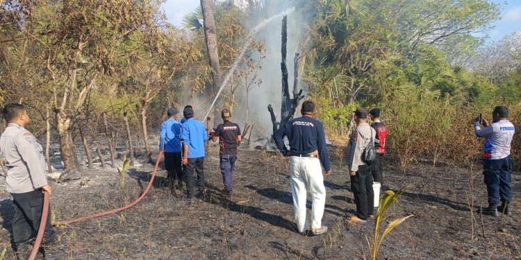 Kapolres Kepulauan Selayar Kerahkan Personel Padamkan Kebakaran Lahan di 3 Lokasi