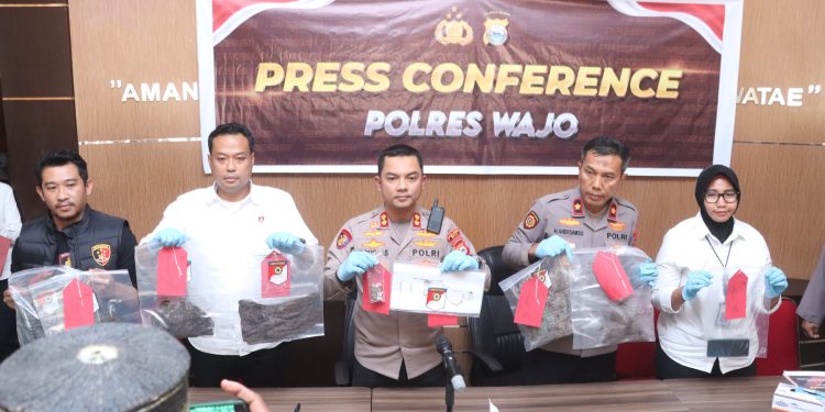 Misteri Hilangnya Mita Terungkap Setelah 2 Tahun, Kapolres Wajo: Sopir Travel Diduga Sakit Hati