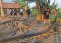 Satreskrim Polres Sidrap Bongkar Judi Sabung Ayam di Sipodeceng, Tiga Pelaku Diamankan